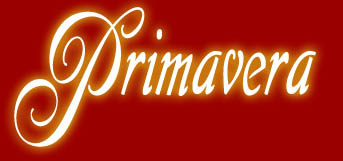 Logo primavera